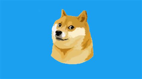 Twitter Logo Changed To Doge - Karen Mcbride Kabar