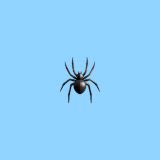 🕷️ Spider emoji Meaning | Dictionary.com