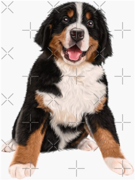 "Bernese Mountain Dog Lovers Sticker" Sticker for Sale by 4NextLevel | Redbubble