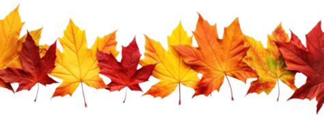 Fall Border Clipart Png