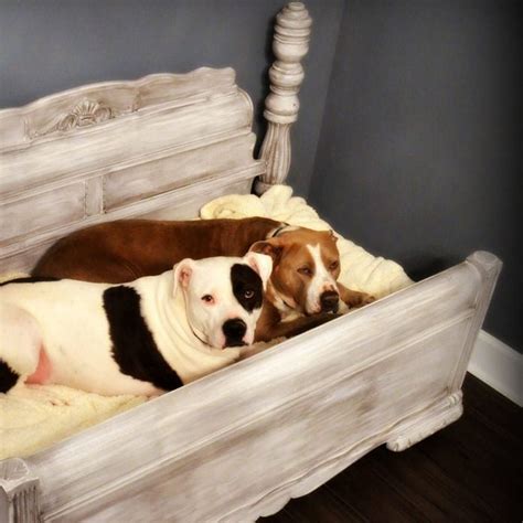 13 Adorable DIY Dog Beds — The Family Handyman