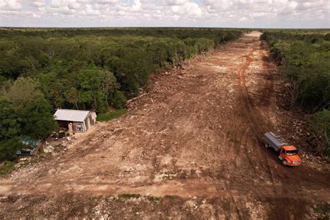 Mexico's Maya Train Is An Environmental Disaster | TIME