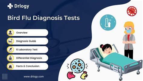 6 Quick Bird Flu Diagnosis Test For Reliable Detection - Drlogy