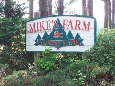 Mike's Farm: Christmas Lights & Pumpkin Patch