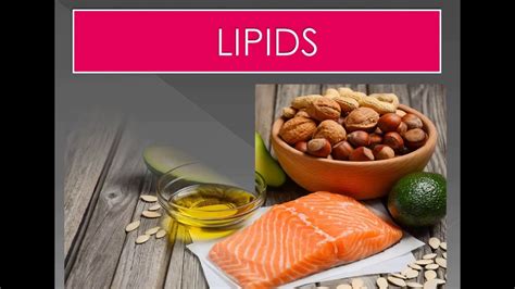 Food Examples Of Lipids