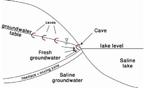 A simplified model of cave formation in the shallow phreatic zone of ...