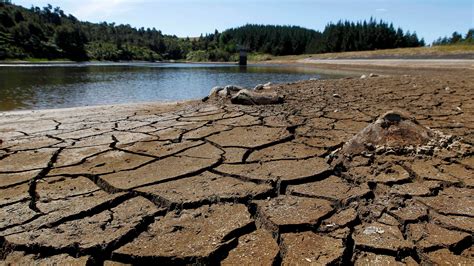 New Zealand Suffering Biggest Drought in 30 Years | The Weather Channel