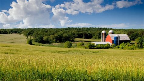 Wisconsin Farm Panoramic | Cheese Labels