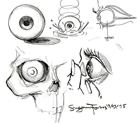 eyeball out of socket drawing - Google Search | Drawing tutorial ...