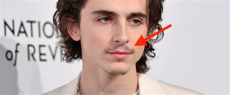 In Defense of Timothée Chalamet's Terrible Facial Hair