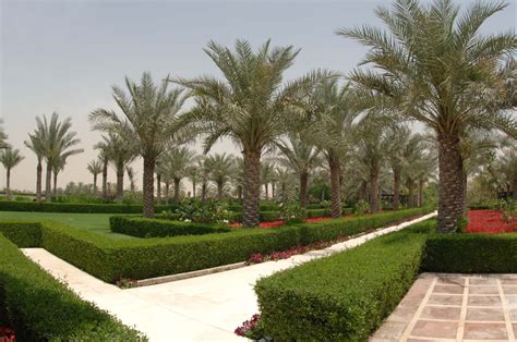 Meliá Desert Palm Dubai Resort - Traditional Arabian Aesthetics And Polo Games