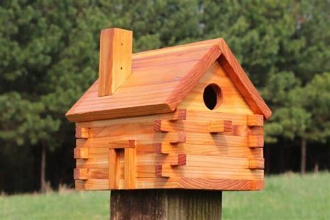 Finch Bird House: 11 Best Plans You Can DIY - Bird Nature