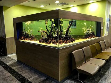 Aquarium fish tank, Big aquarium, Aquarium fish