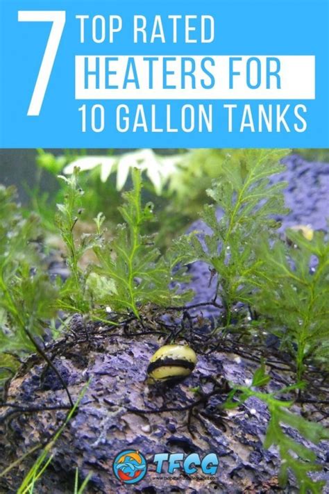 Finding The Perfect Heater For Your 10 Gallon Tank: A Comprehensive ...