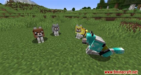 Wolf Armor Compat Mod - 1Minecraft