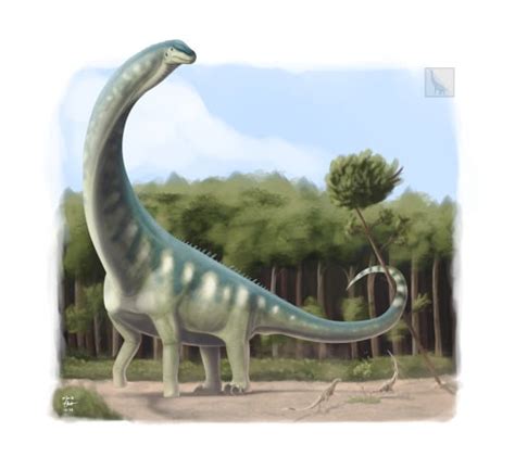 Mesozoic Monthly: Dreadnoughtus