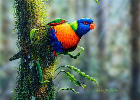 Flying Colours - Rainbow Lorikeet