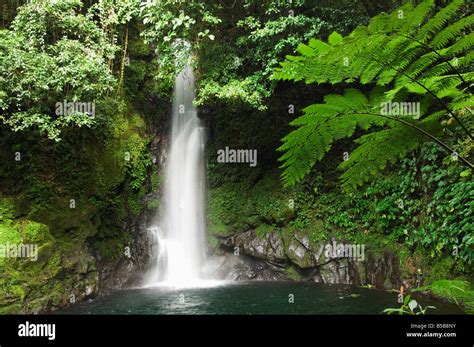 Malabsay Waterfall, Mount Isarog National Park, Bicol, southeast Luzon ...