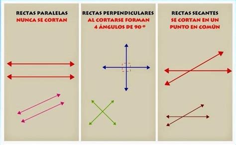 Cuales son las líneas paralelas y cuales son las perpendiculares - Brainly.lat