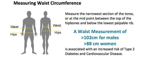 Measuring Waist Circumference – Ministry of Health & Medical Services