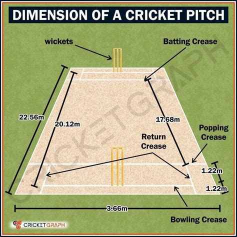 Cricket Pitch: Length and Width, With Dimensions and Visual ...