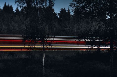 Free picture: landscape, light, night, trees, transportation, forest, highway