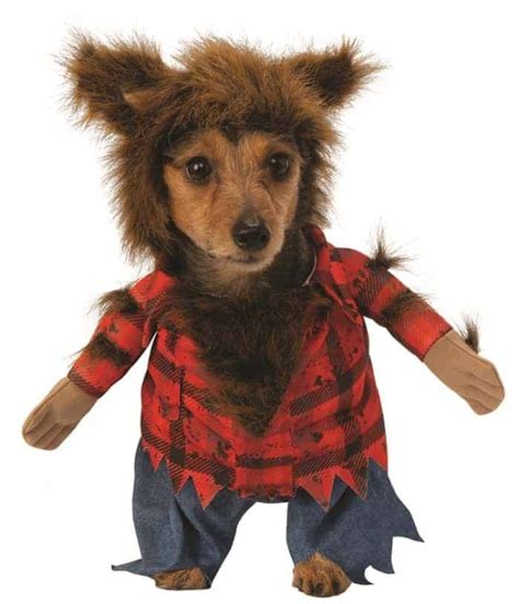 Walking Big Bad Werewolf Dog & Cat Costume - Pet Costume Center