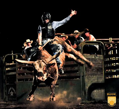 Bull Riding Wallpaper - WallpaperSafari