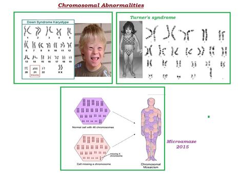 Microamaze: Can changes in the number of chromosomes affect health and ...