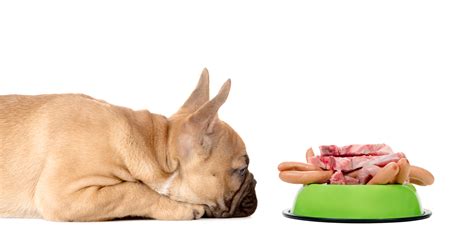 Preventing Obesity in Dogs - Happy Dog Institute - Washington Based Puppy and Dog Training