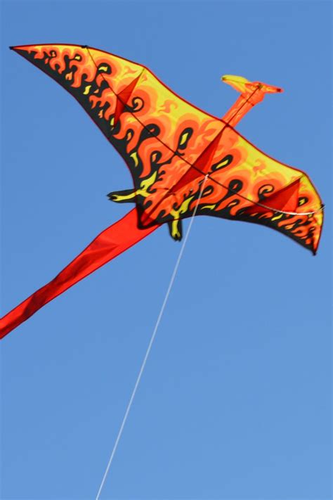 49 best images about Kites on Pinterest | Kids kites, Toys and Vector power