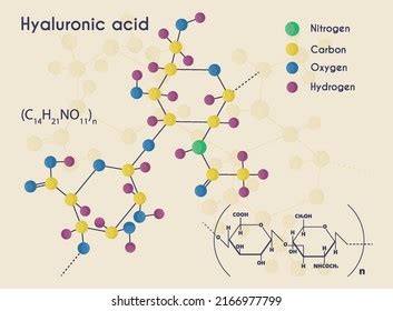 Hyaluronic Acid Chemical Formula Molecule Hyaluronic Stock Vector (Royalty Free) 2166977799 ...