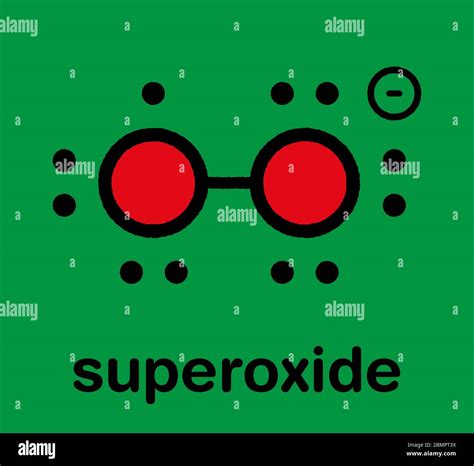 Superoxide free radical hi-res stock photography and images - Alamy