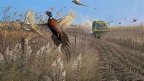 Pheasant Hunting Wallpaper - WallpaperSafari | Hunting art, Hunting wallpaper, Pheasant hunting