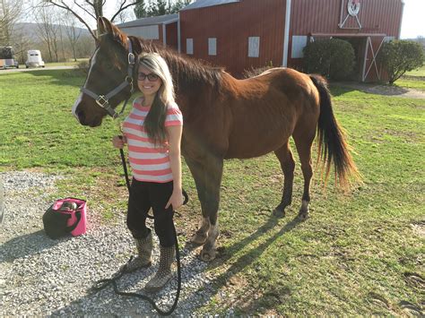 English Saddle Fitting Help (First Timer) | The Horse Forum