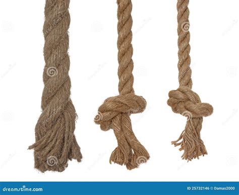 Vertical 3 Ropes with Knots Stock Photo - Image of flexible, attach ...