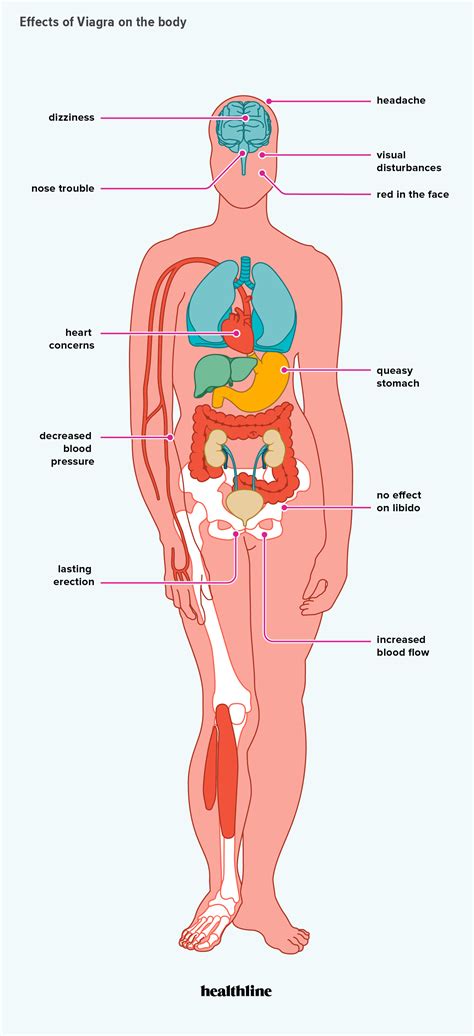 Viagra Side Effects on the Body and FAQs