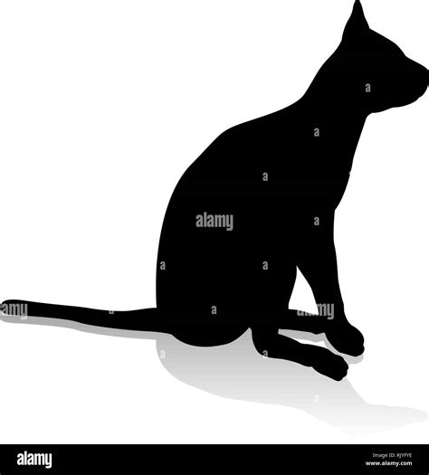 Cat Pet Animal Silhouette Stock Vector Image & Art - Alamy