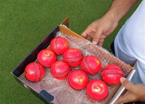 Pink Ball Test: All You Need to Know About the 2nd Test Between India ...