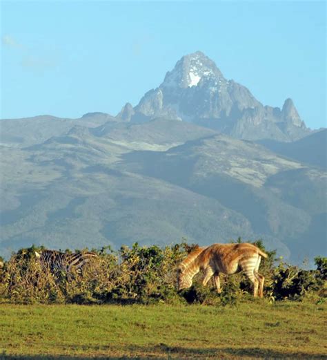 Mount Kenya National Park - Rovic Tours