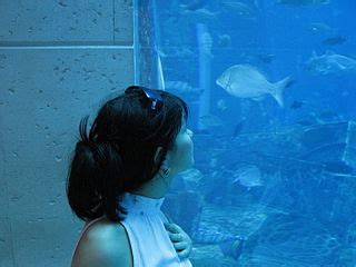 File:Atlantis, The Palm aquarium.jpg - Wikimedia Commons