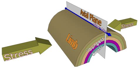 09.4_Anticline – An Introduction to Geology