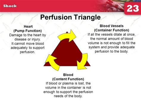 Bleeding and Shock Flashcards | Quizlet