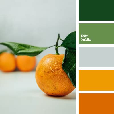 Orange Color Palettes | Color Palette Ideas