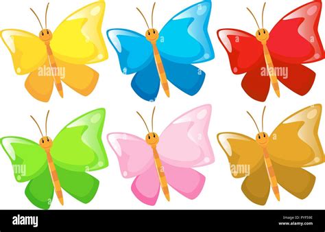 Wild butterfly with different color wings illustration Stock Vector Image & Art - Alamy