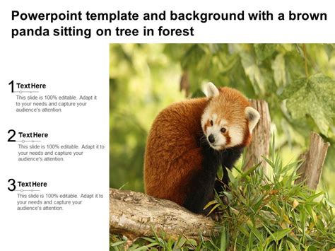 Powerpoint Template And Background With A Brown Panda Sitting On Tree ...