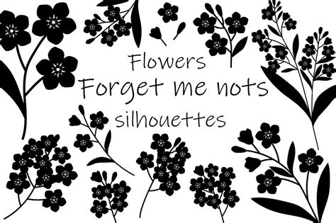 Flowers silhouettes vector. Flower forget me not. Flower SVG (947329) | Illustrations | Design ...