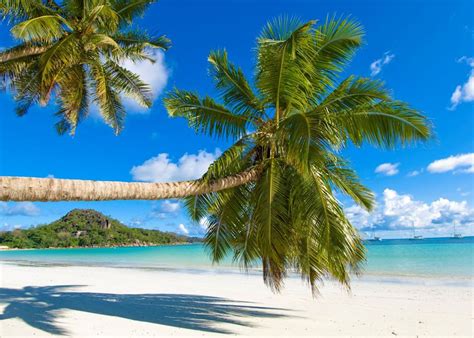 Seychelles island hopping: La Digue & Praslin | Audley Travel