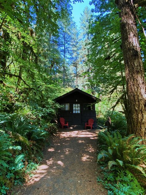 Tiny cabins in Silver Falls State Park, Oregon | Silver falls state ...