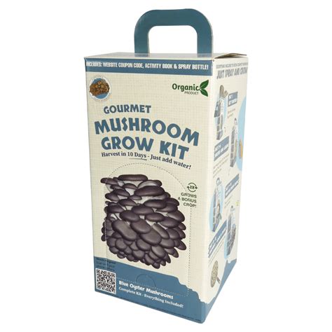 Mini Mushroom Grow Kit (Blue Oyster) - Cape Town Exotic Mushrooms